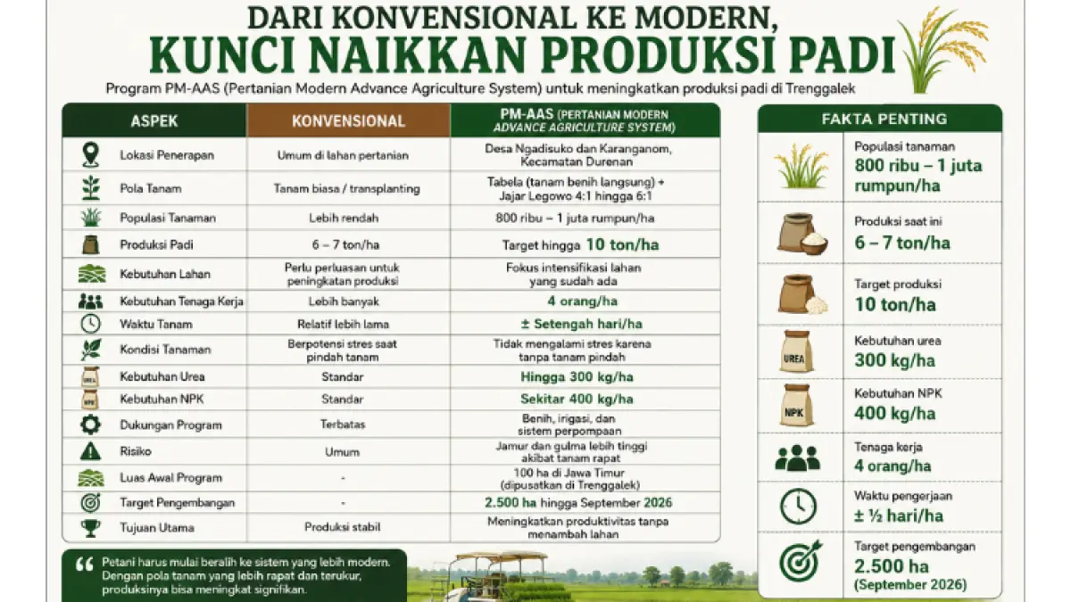 Petani Trenggalek didorong beralih ke sistem pertanian modern guna meningkatkan hasil produksi padi secara signifikan.(AI)