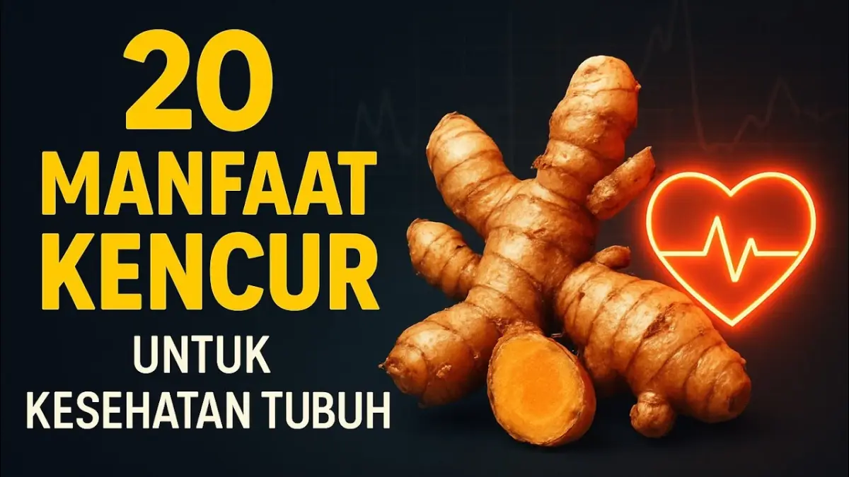 Simak 20 manfaat kencur untuk kesehatan tubuh dari Juragan Herbal. Lengkap dengan rincian kandungan senyawa aktif serta panduan cara meraciknya!