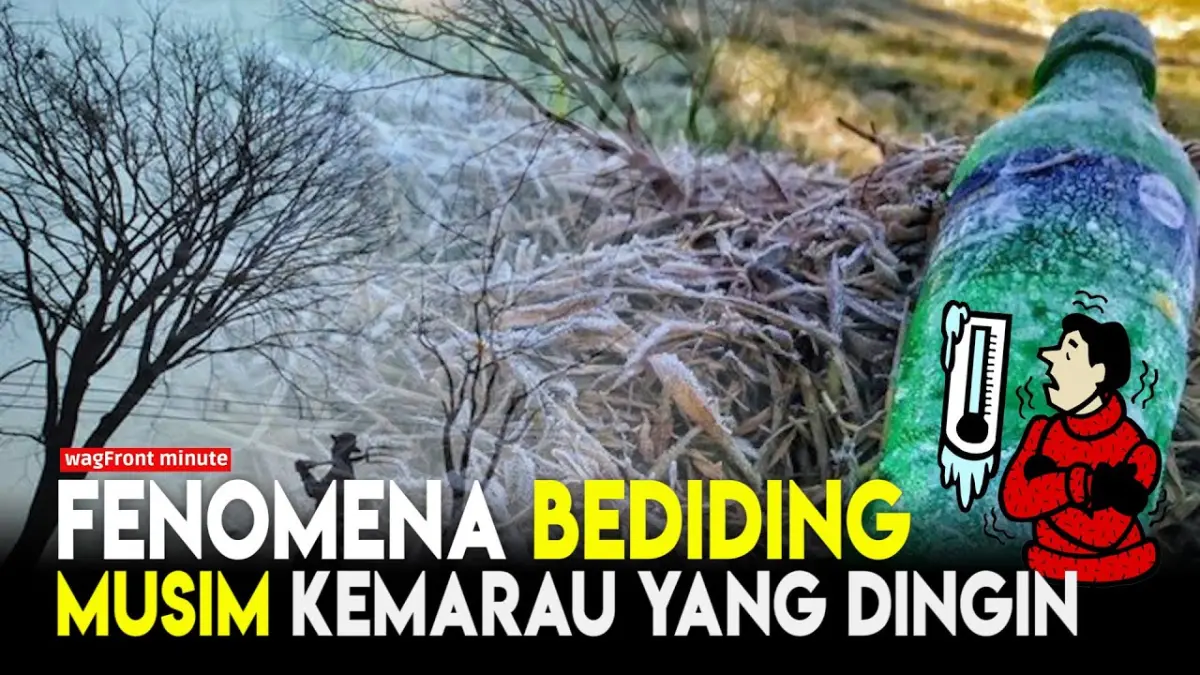 Fenomena bediding mulai melanda Pulau Jawa saat musim kemarau 2026. BMKG menjelaskan penyebabnya serta daftar wilayah dengan suhu terendah (PInterest)