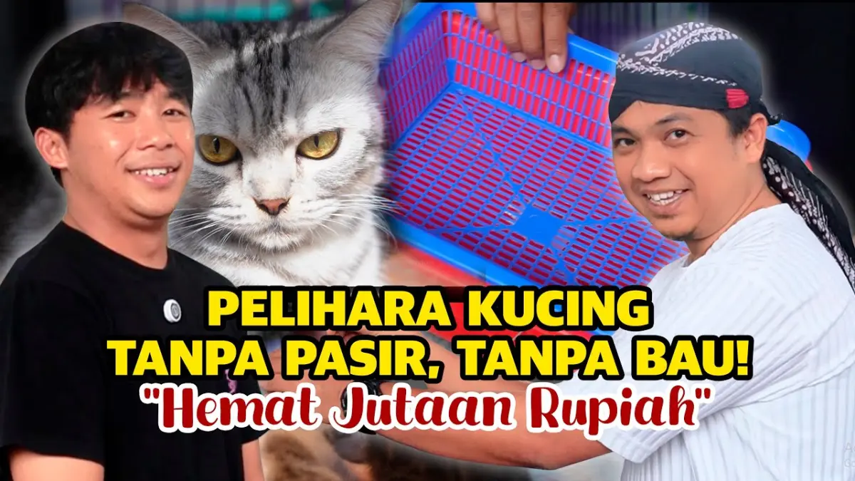 Temukan cara merawat kucing tanpa pasir yang hemat biaya, praktis, dan bebas bau! Cek rahasia desain bak bertingkat hingga trik probiotik unik di sini.