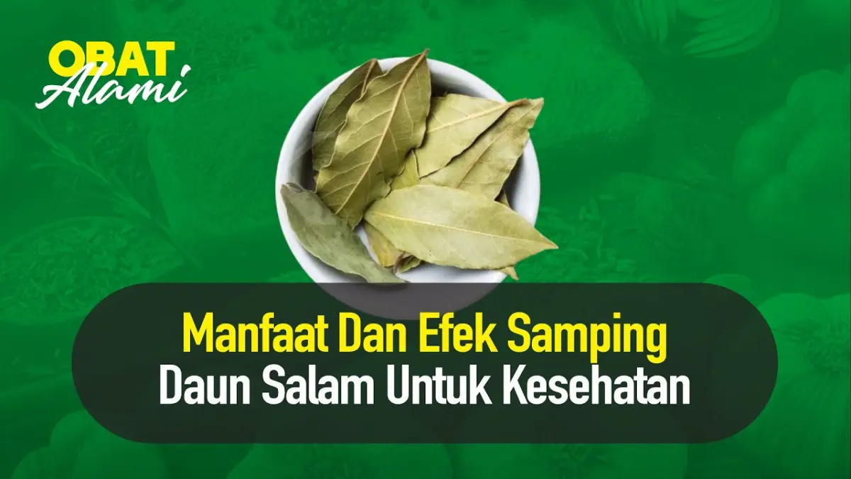 Manfaat rebusan daun salam terbukti ampuh bantu turunkan tekanan darah tinggi dan kontrol kadar gula darah penderita diabetes menurut fakta medis.