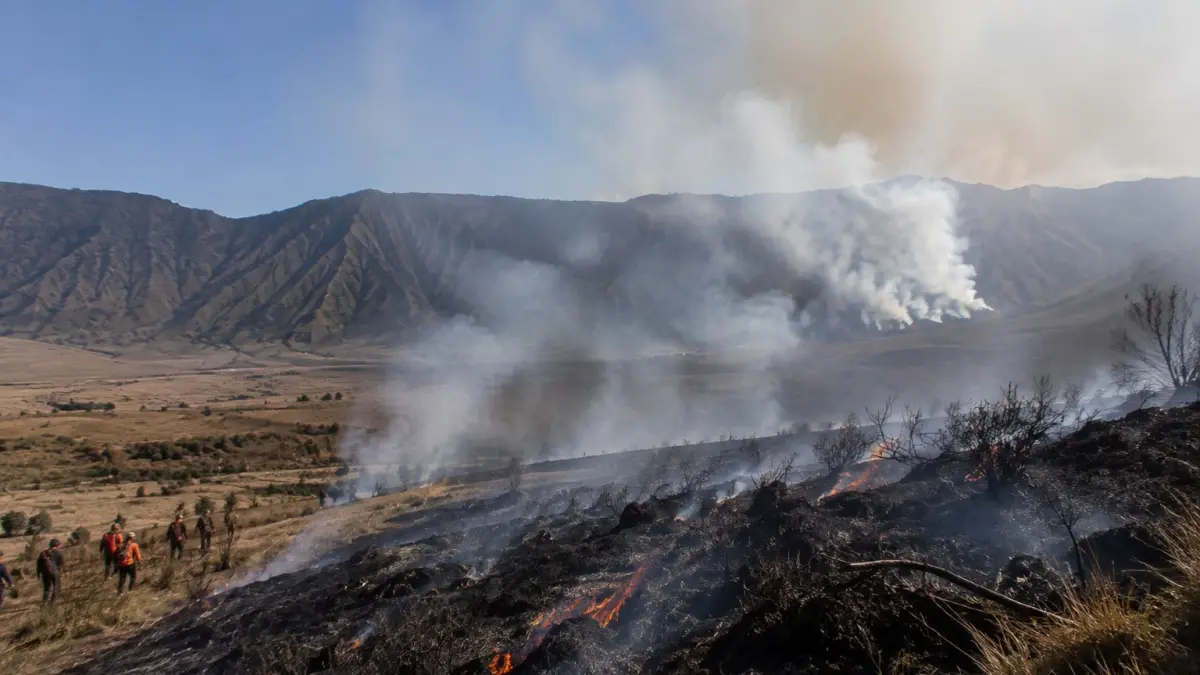 Kobaran api di Savana Gunung Bromo terus meluas hingga mencapai wilayah Probolinggo, dengan total lahan terbakar kini sekitar 10 hektare.
