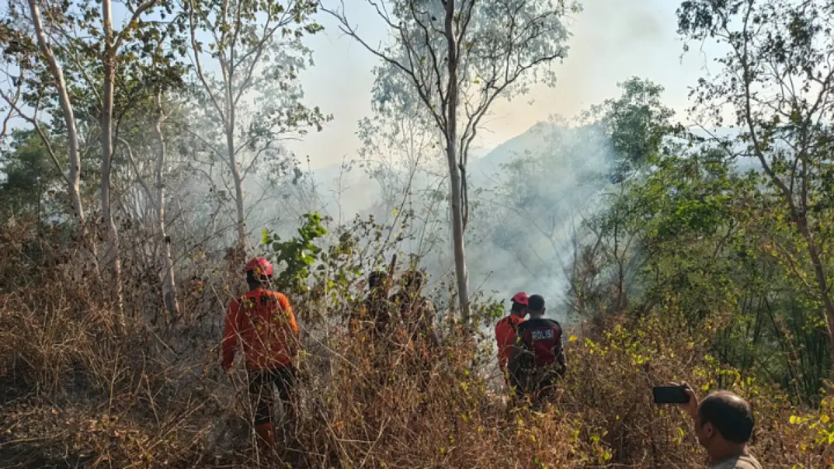 Aksi sigap tim gabungan evakuasi empat siswa terjebak asap tebal Gunung Orak-arik.