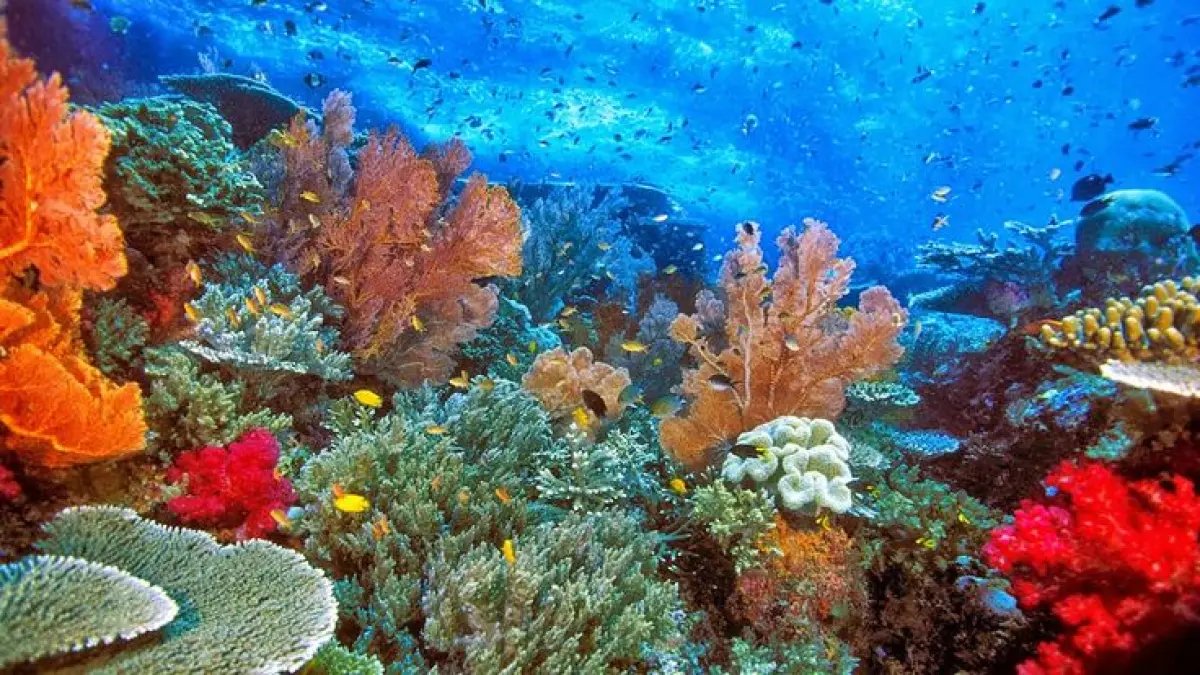 7 tempat wisata alam terindah di Indonesia ini menawarkan pantai pink, tebing ikonik, pulau romantis hingga keindahan bawah laut Raja Ampat (Pinterest).