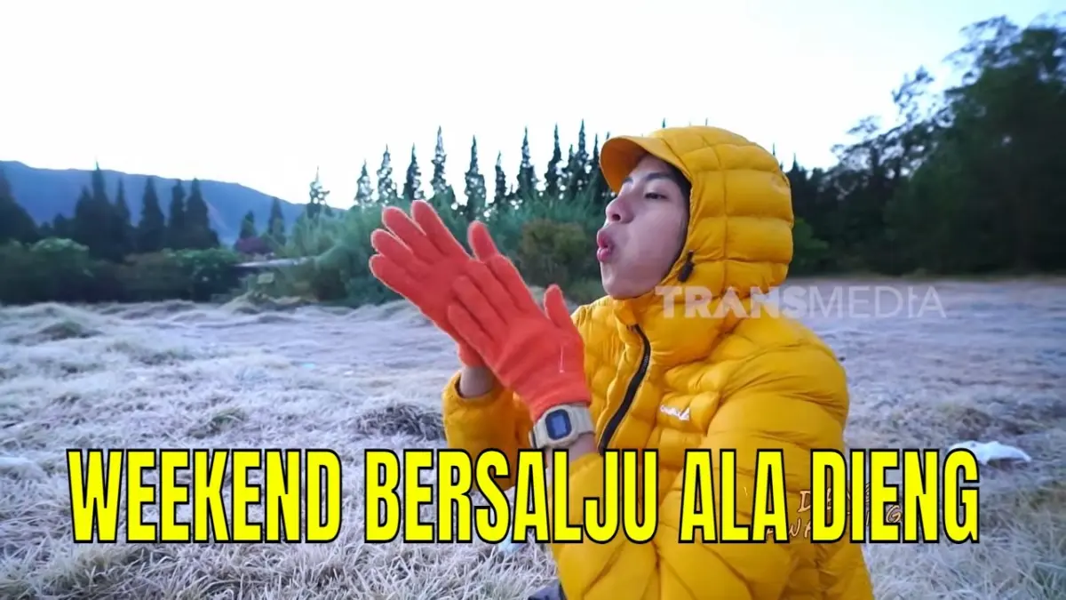 Sensasi wisata viral di Dieng 2026! Cek fenomena embun es Embun Upas, keunikan panen kentang gondola, hingga kerajinan bulu Domba Batur terlengkap di sini.