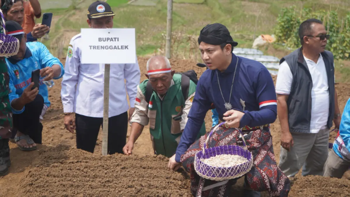 DUKUNG KETAHANAN PANGAN: Bupati Trenggalek Mochamad Nur Arifin turut mendukung upaya pemerintah pusat mewujudkan swasembada bawang putih ditunjukkan melalui penanam bawang putih di area Desa Karanganyar, Kecamatan Pule, Rabu (19/8).(ZAKI JAZAI/ RADAR TRENGGALEK)