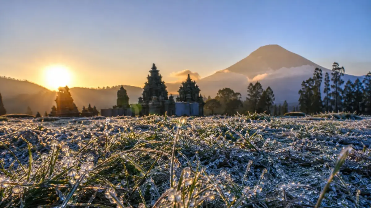 Berburu Embun Upas di Dieng, Suhu 3 Derajat dan Rumput Mulai Membeku