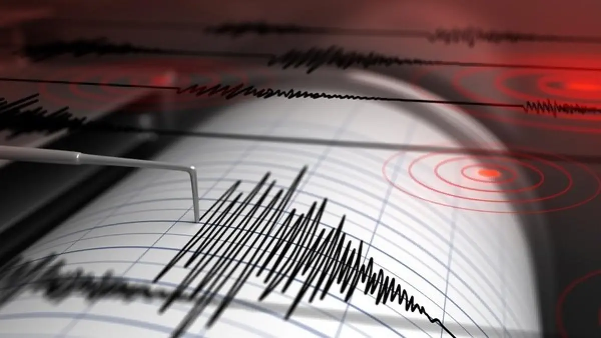 Gempa NTT magnitudo 7,7 bukan dipicu megathrust. BMKG menjelaskan gempa terjadi akibat Flores Back Arc Thrust yang merupakan patahan aktif (Pinterest).