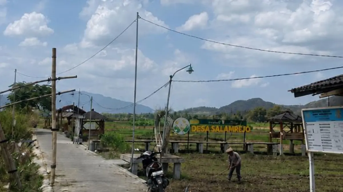 HARUS INOVASI:  Wisata Sawah Desa Salamrejo di wilayah Salam Lor, Desa Salamrejo, Kecamatan Karangan, mulai kehilangan geliat.(M. BIMA FAISAL/ RADAR TRENGGALEK)
