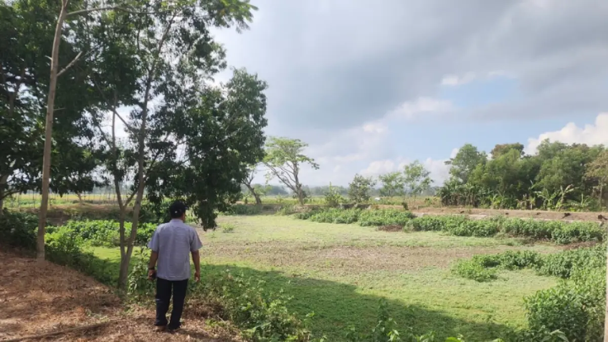 KEMARAU: Tampak kondisi Embung Semarum di Kecamatan Durenan yang dangkal dan mengering.(GUNAWAN/ RADAR TRENGGALEK)