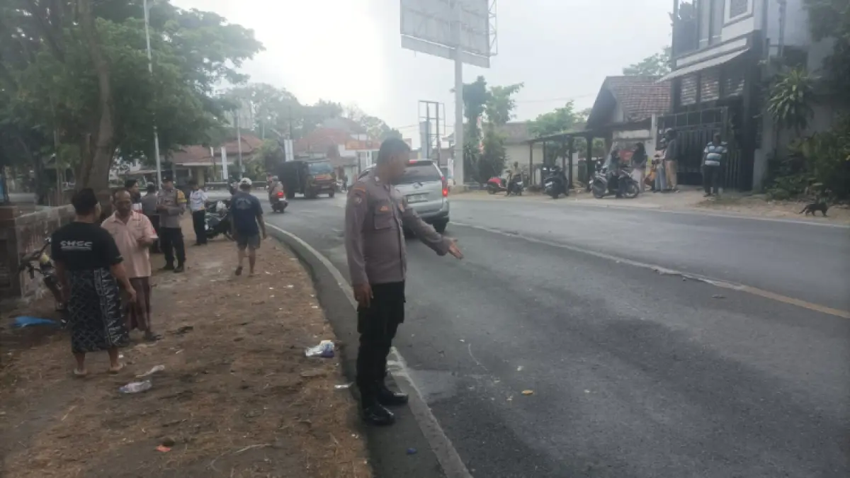 NAHAS: Kecelakaan maut di Jalan Raya Desa Baruharjo, Kecamatan Durenan, mengakibatkan satu nayaw melayang.(POLRES TRENGGALEK UNTUK RADAR TRENGGALEK)