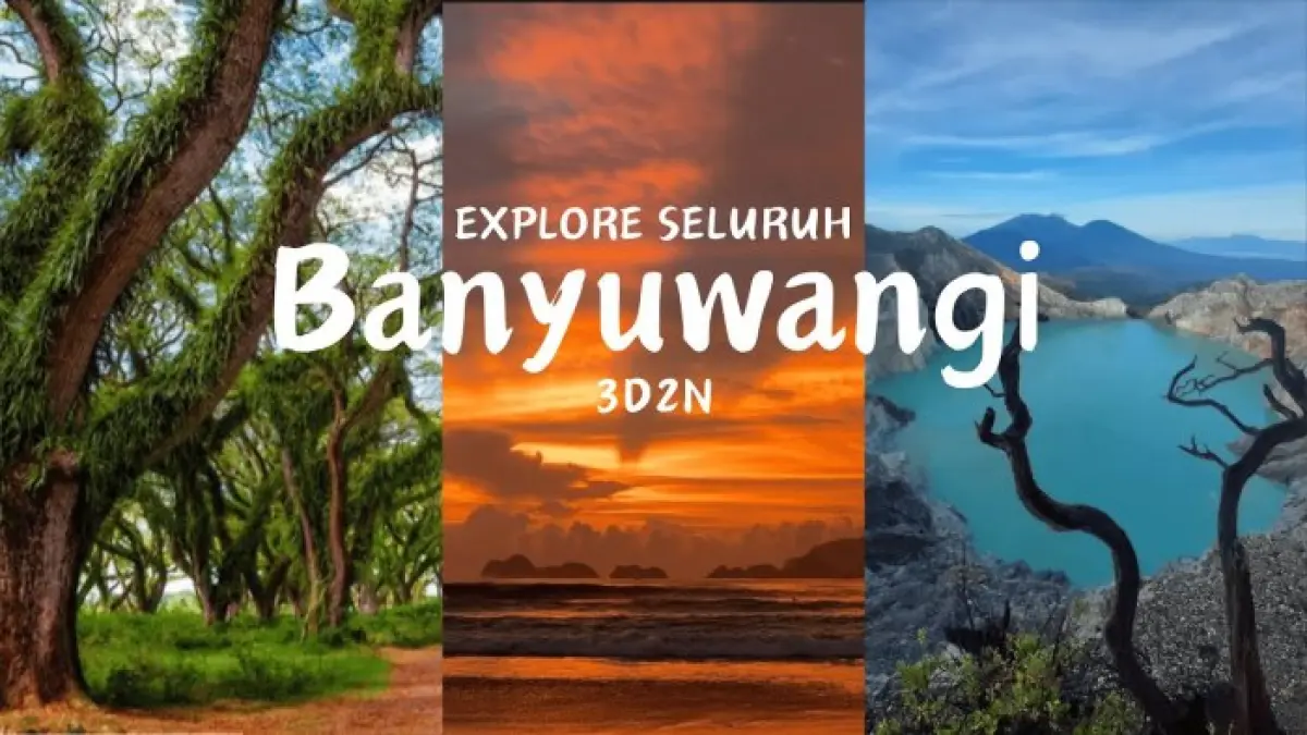 Wisata Banyuwangi 3 hari 2 malam bisa menjangkau Teluk Hijau, Baluran, Menjangan, hingga Kawah Ijen.
