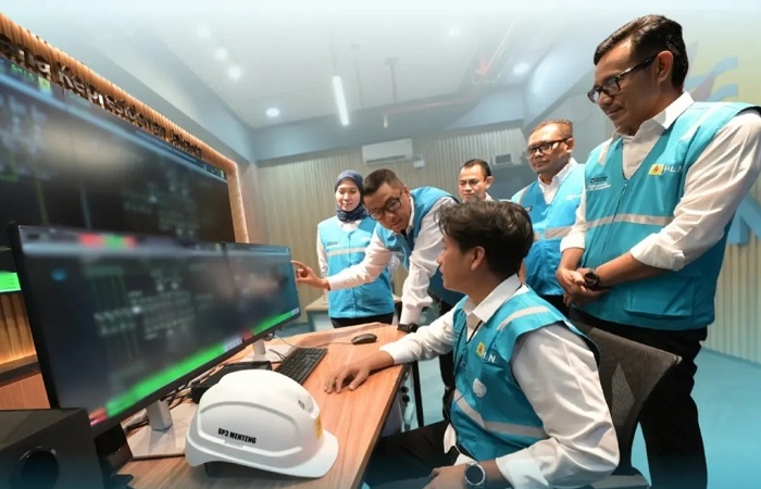 Pegawai PLN sedang melakukan monitoring.