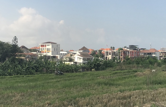 Alih fungsi lahan di wilayah Canggu, Badung.