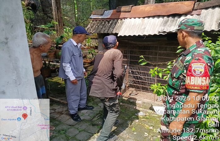 Petugas didampingi TNI mengeliminasi anjing di kawasan Singapadu Tengah, Sukawati.