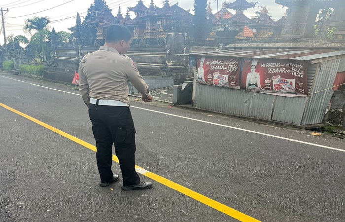 Polisi melakukan olah TKP dan mengamankan barang bukti kendaraan mobil pickup dan sepeda motor Honda Vario yang terlibat laka lantas di Jalan Raya Denpasar-Singaraja.