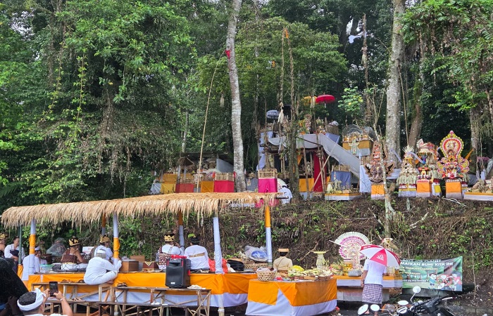 Upacara Wana Kertih di Pura Pucak Mangu, Banjar Tinggan, Kabupaten Badung, Selasa (4/11) kemarin.