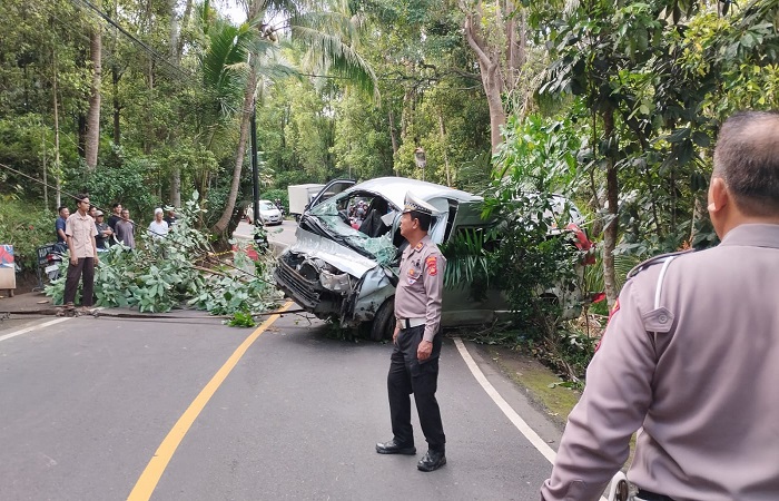 Lima orang Warga Negara Asing (WNA) asal Tiongkok tewas setelah mengalami kecelakaan di Jalan Raya Singaraja-Denpasar KM 7,7 wilayah Desa Padang Bulia, Kecamatan Sukasada, Buleleng.