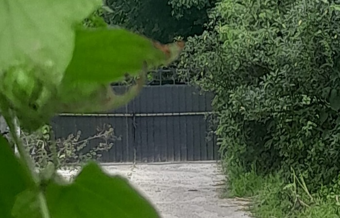 Terdapat garis polisi di pintu masuk tempat penampungan ilegal solar itu di kawasan Jalan Pemelisan Bypass Suwung, Denpasar Selatan.