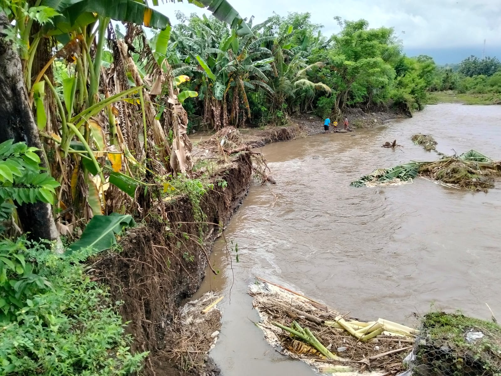 Belasan rumah di Desa Banjarasem terendam banjir setelah tanggul di Tukad Banyuraras jebol.