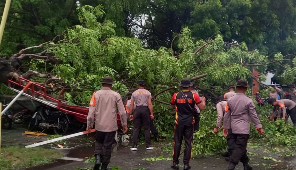 Pagkalan ojek tertimpa pohon setelah hujan deras disertai angin kencang.