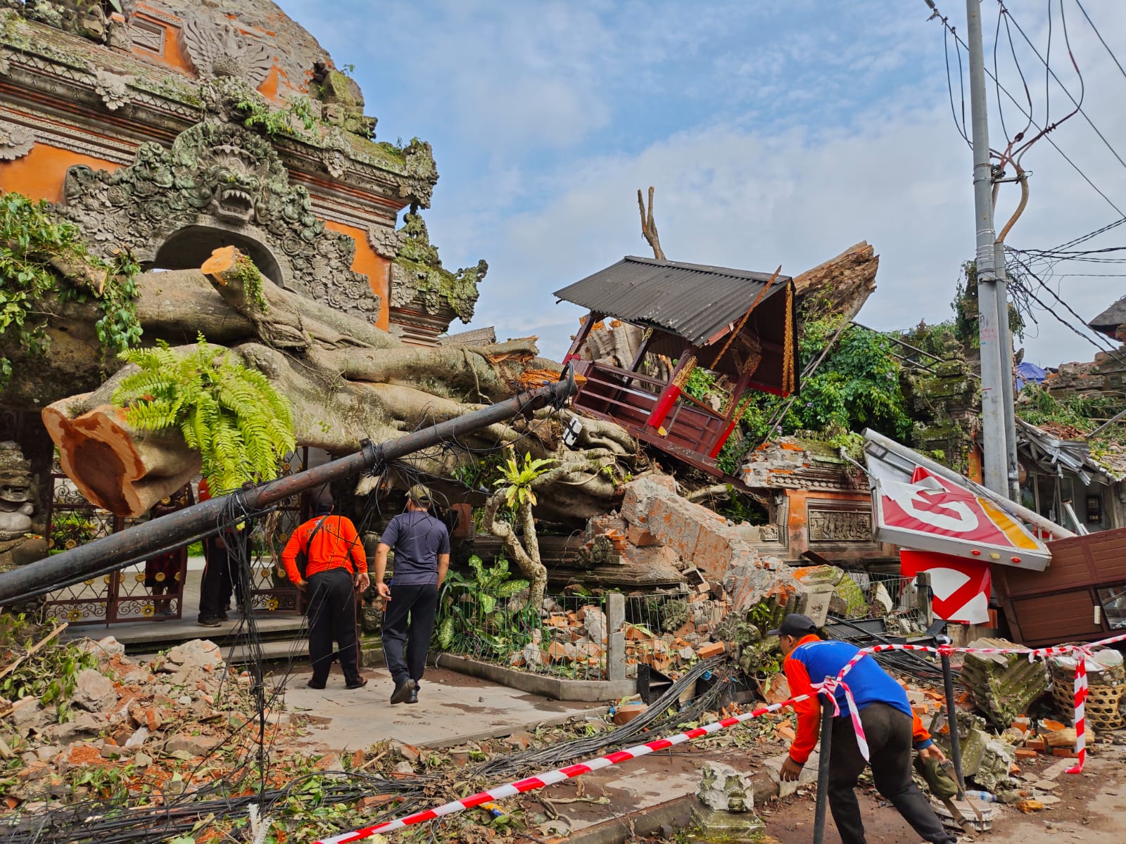 Pohon beringin berusia  300 tahun tumbang di Puri Ubud belum lama ini. Keluarga Puri segera gelar Upacara Mecaru.