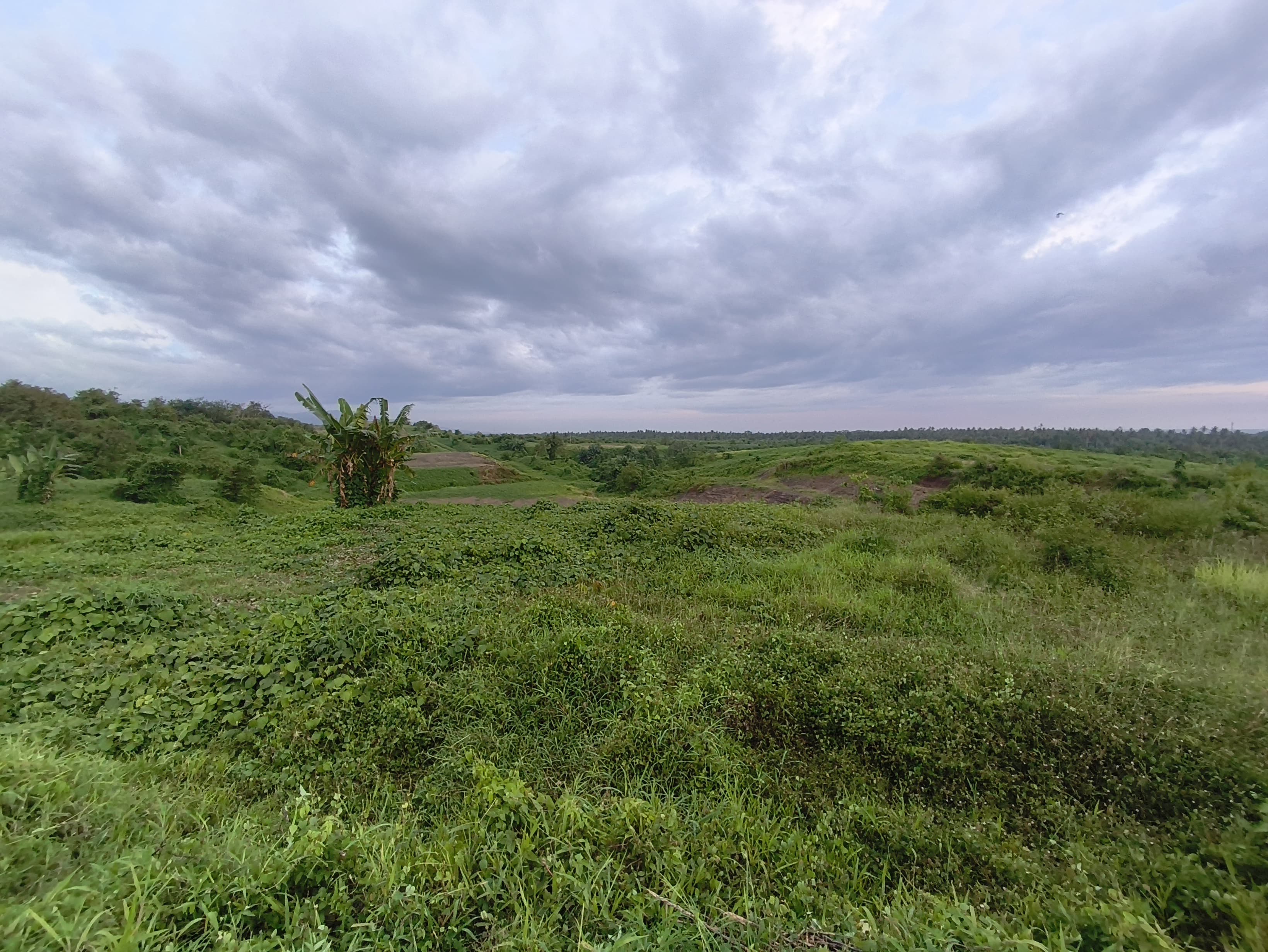 Lokasi yang akan digunakan untuk Jalan Tol di lahan eks Perumda Bali di Kecamatan Pekutatan.  