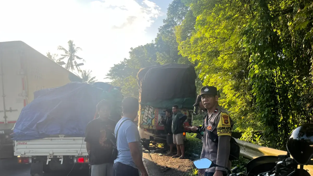 Kondisi kendaraan truk Mitsubishi Colt Diesel yang mengalami kecelakaan dengan sebuah mobil pickup di Jalan Denpasar-Gilimanuk akibat kelalaian tidak memasang rambu bahaya. (Foto Juliadi) 