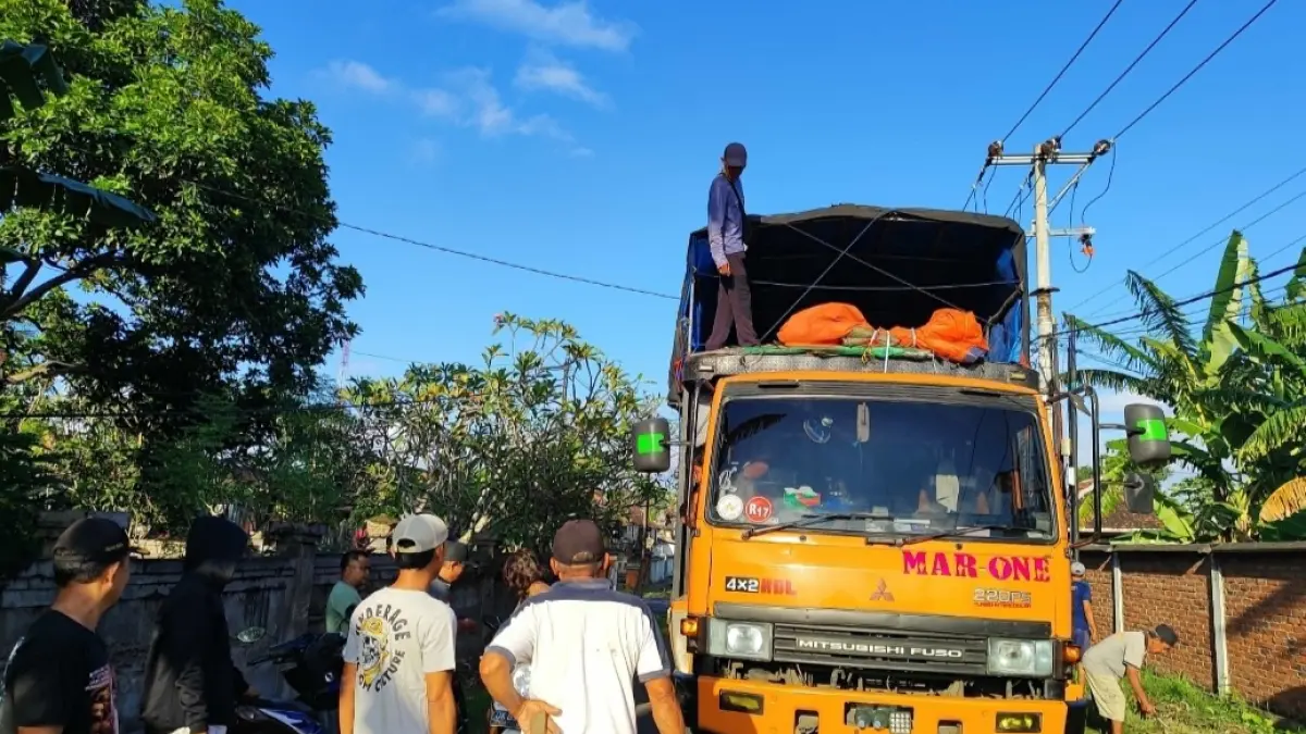 Aktivitas truk pengangkut hewan di Kelurahan Gilimanuk yang kembali menimbulkan masalah setelah menabrak kabel listrik hingga putus. (Foto Basir) 
