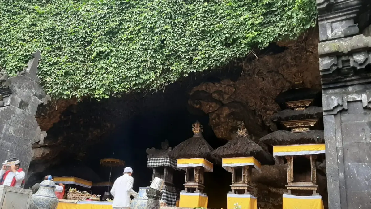 Kelelawar bertengger di Pura Goa Lawah. Kotoran hewan ini diyakini memiliki khasiat untuk menyuburkan tanaman. (Foto Dewa Ayu Pitri Arisanti)&nbsp;
