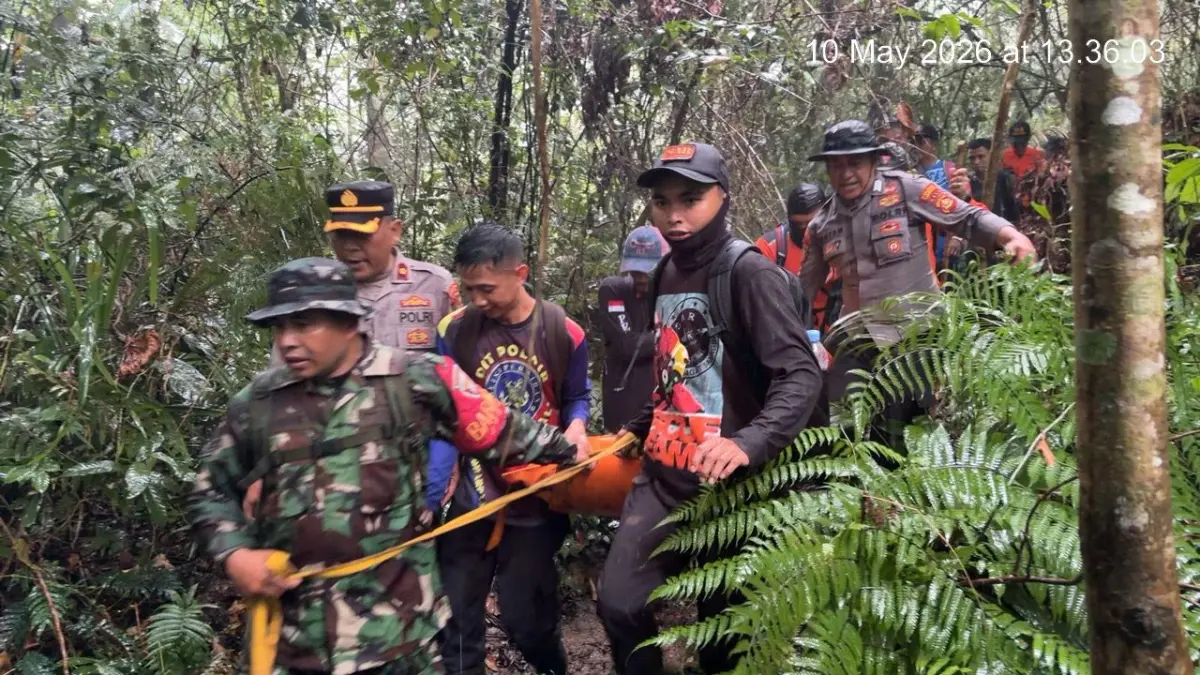 Suasana proses evakuasi jenazah I Made Dibia yang dilakukan petugas di kawasan Gunung Batukaru, Tabanan. (Istimewa) 