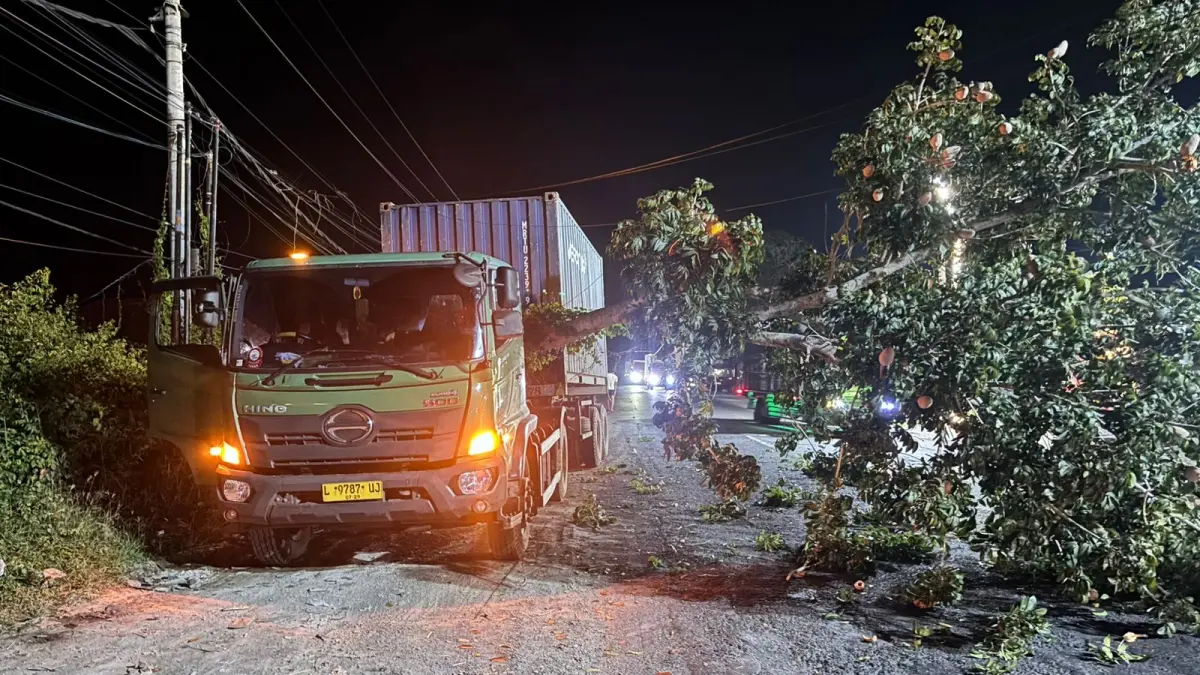 Sebuah truk kontainer tertimpa pohon perindang jalan yang tumbang di jalur utama Denpasar–Gilimanuk, tepatnya di wilayah Banjar Sumbul, Desa Yehembang Kangin, Kecamatan Mendoyo. Tidak ada korban jiwa dalam peristiwa ini. (Foto Polsek Mendoyo)&nbsp;
&nbsp;