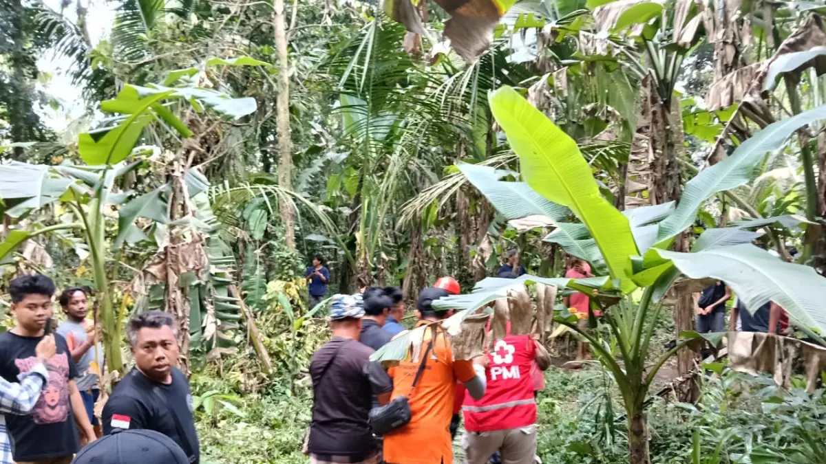 Korban yang mengalami cedera parah terlihat digotong oleh petugas dan warga setempat, usai terjatuh dari ketinggian 12 meter saat bekerja memanen air nira di Desa Kedewatan, Ubud.(Foto BPBD Gianyar)&nbsp;
