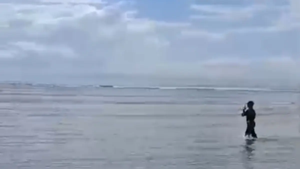 Hiu muncul di perairan Nusa Dua, Bali. (Istimewa) 