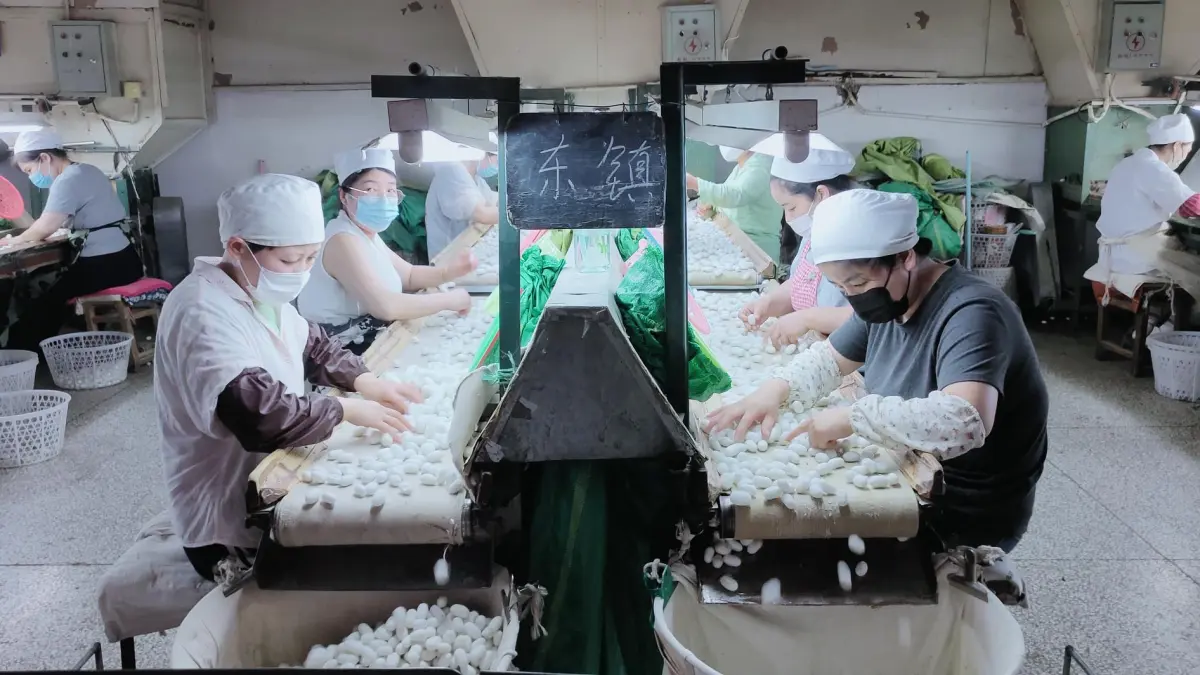 Suasana produksi kain sutra di H&S’YATI SILK (Sutra Huashiyadi) yang ada di Kota Fuyan, Provinsi Anhui, Tiongkok. Perusahaan ini menjadi yang terdepan dalam produksi sutra seantero Tiongkok.(Foto Eka Prasetya)&nbsp;