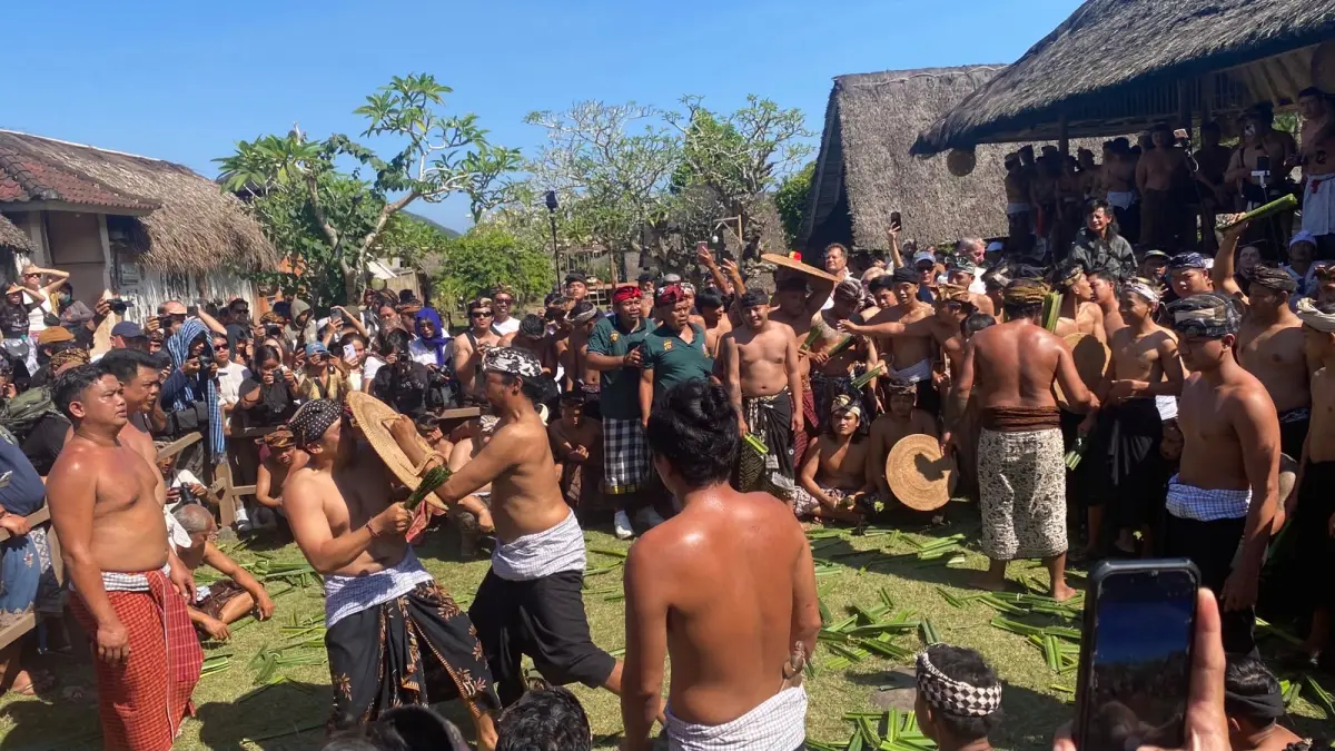 Suasana tradisi perang pandan di Desa Tenganan Pegringsingan yang berlangsung Rabu (10/6) kemarin. (Foto Zulfika Rahman) 