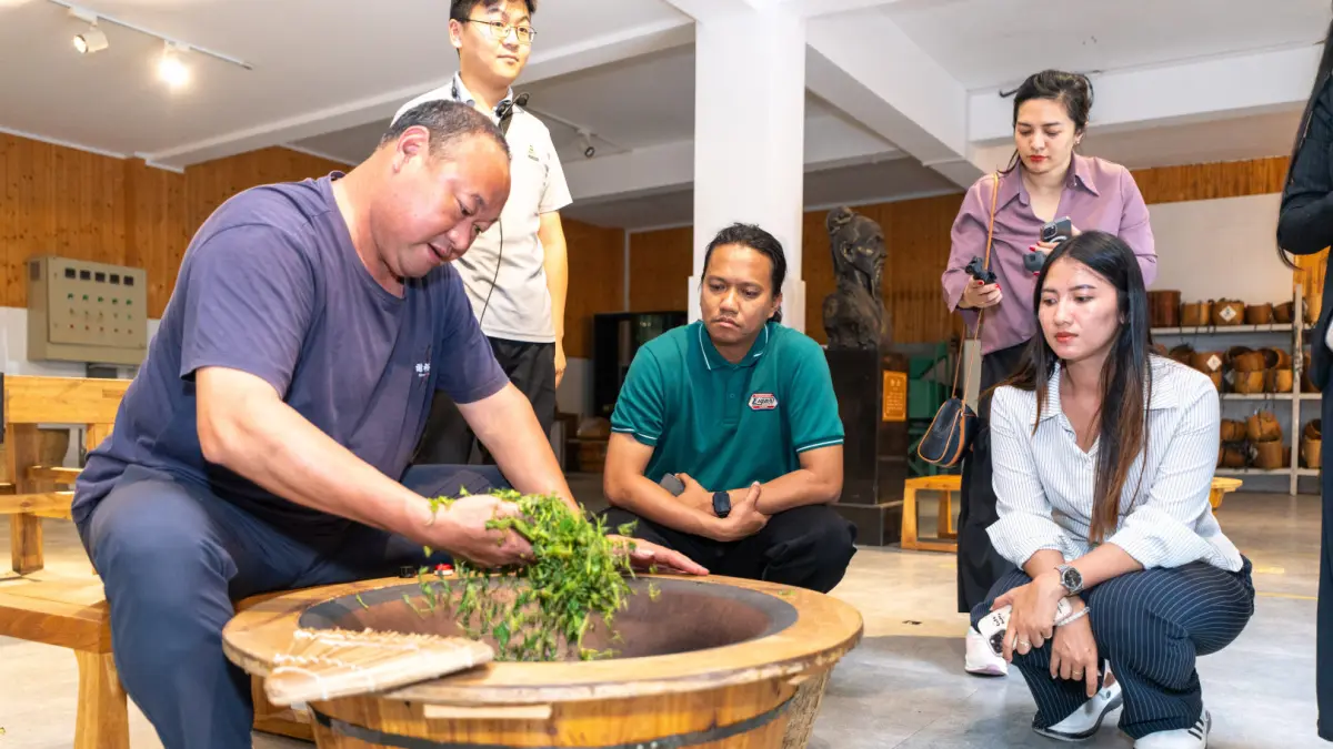 Suasana di Kebun Teh Xie Yuda, salah satu lokasi kunjungan agrowisata yang populer di Tiongkok. ( Foto Eka Prasetya) 