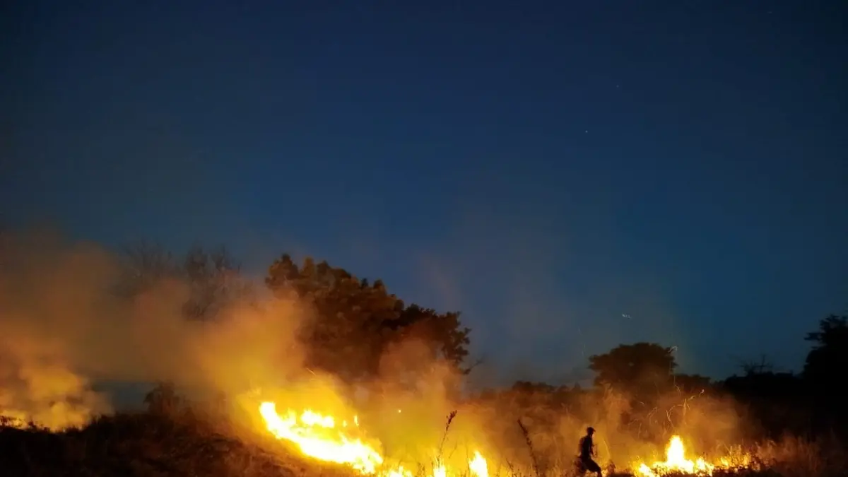 Kobaran api melahap hamparan lahan kering di wilayah Tiagron Kauh, Desa Sukadana, Kecamatan Kubu, pada Selasa (16/6) kemarin. (Istimewa) 