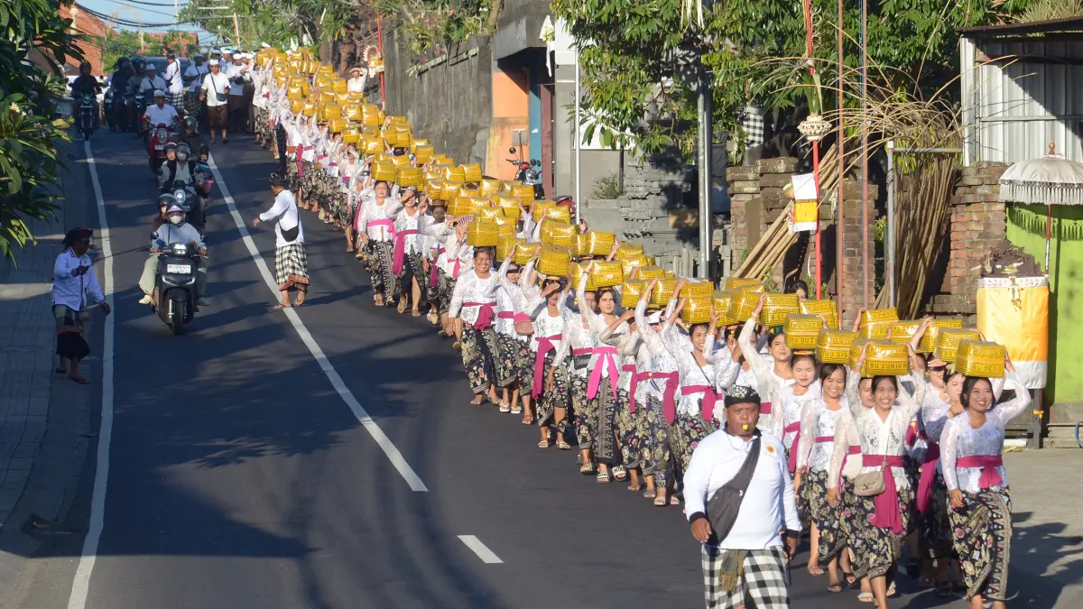 Ratusan warga Desa Adat Lukluk, khususnya kaum ibu, mengusung keben bambu berisi sesajen melaksanakan tradisi mapeed dalam rangka menyambut Hari Raya Galungan. (Foto Adrian Suwanto) 