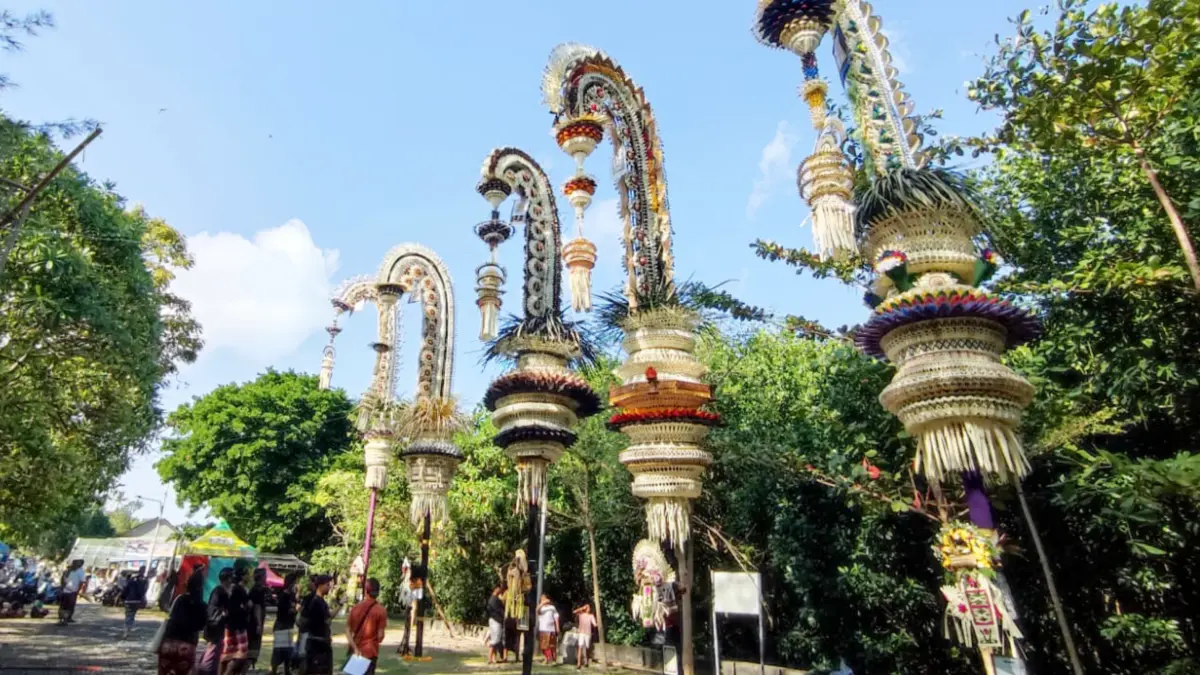 Sejumlah umat melaksanakan ngayah dan persiapan menjelang perayaan Hari Raya Kuningan serta lomba penjor di lingkungan Pura Sakenan, Desa Serangan, Denpasar Selatan. (Foto Adrian Suwanto) 