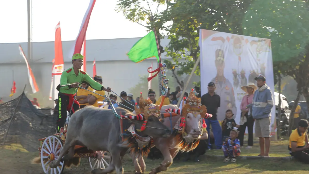 Kejuaraan Makepung Kapolda Bali Cup yang digelar di Sirkuit All In One, Desa Pengambengan, Kecamatan Negara, Minggu (28/6) kemarin. (Foto Polres Jembrana) 