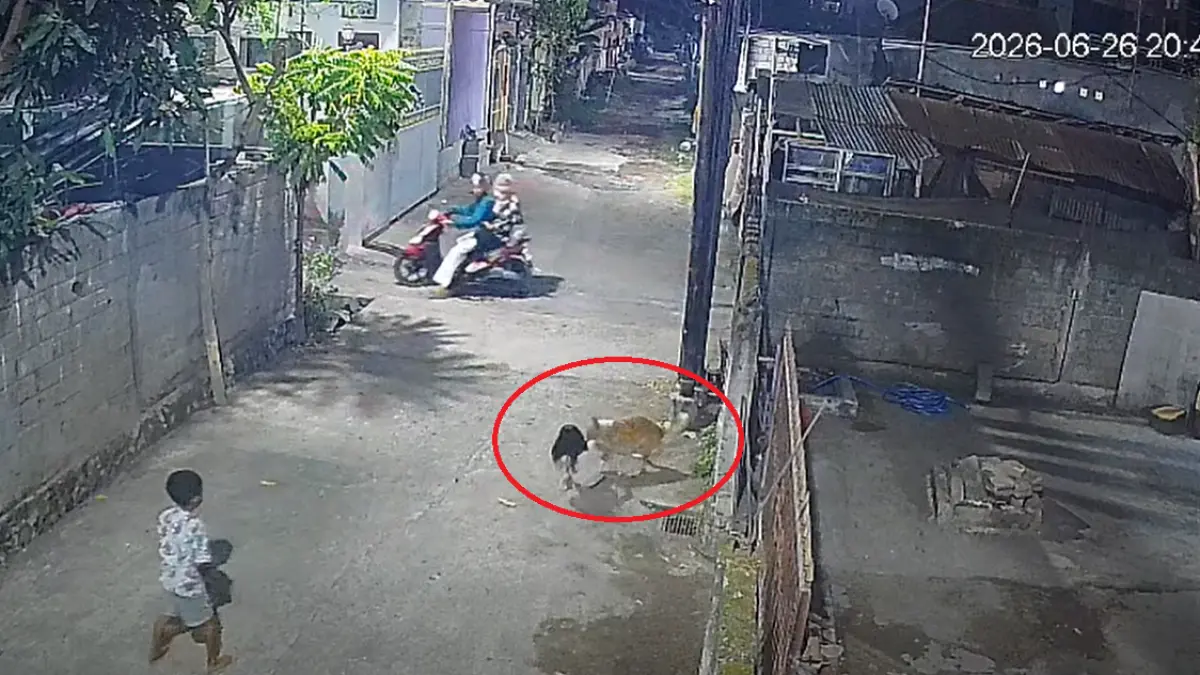 Tiga anak jadi korban gigitan anjing liar di Buleleng, Bali. (Foto Kelurahan Banyuasri) 