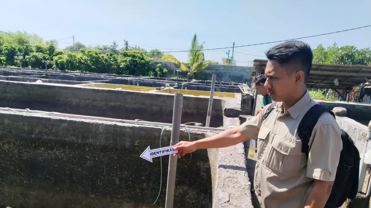 Petugas kepolisian melakukan pemeriksaan di lokasi tambak benih bandeng milik Pak Jon, tempat ditemukannya dua anak yang tenggelam. (Foto Polres Buleleng) 