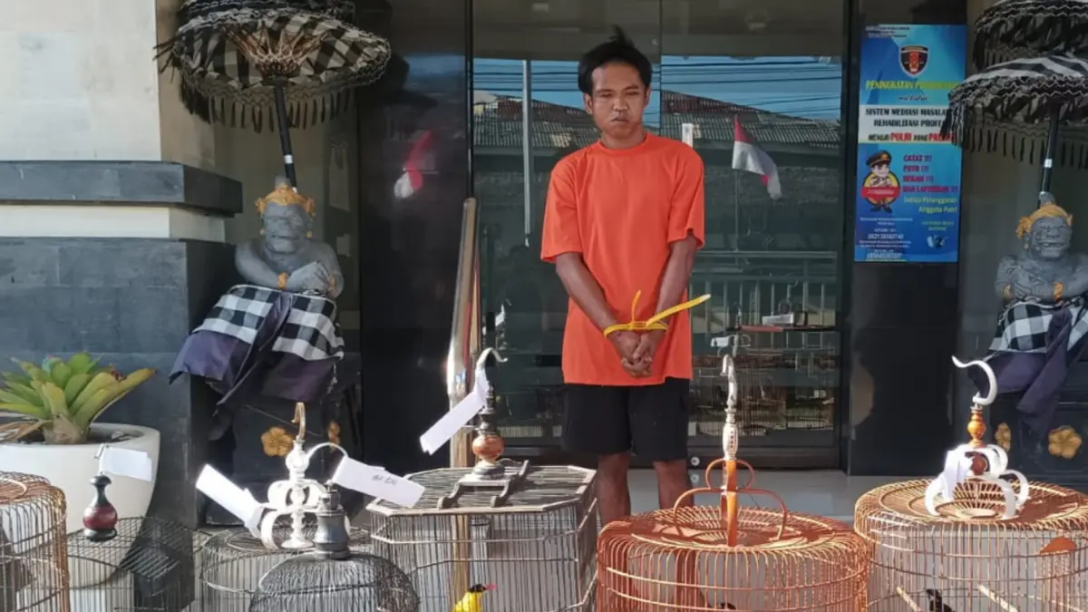 Pelaku pencurian burung kicau berinisial HL beserta 12 ekor burung hasil kejahatan berhasil diamankan petugas Polsek Denpasar Barat. (Foto Adrian Suwanto)&nbsp;
