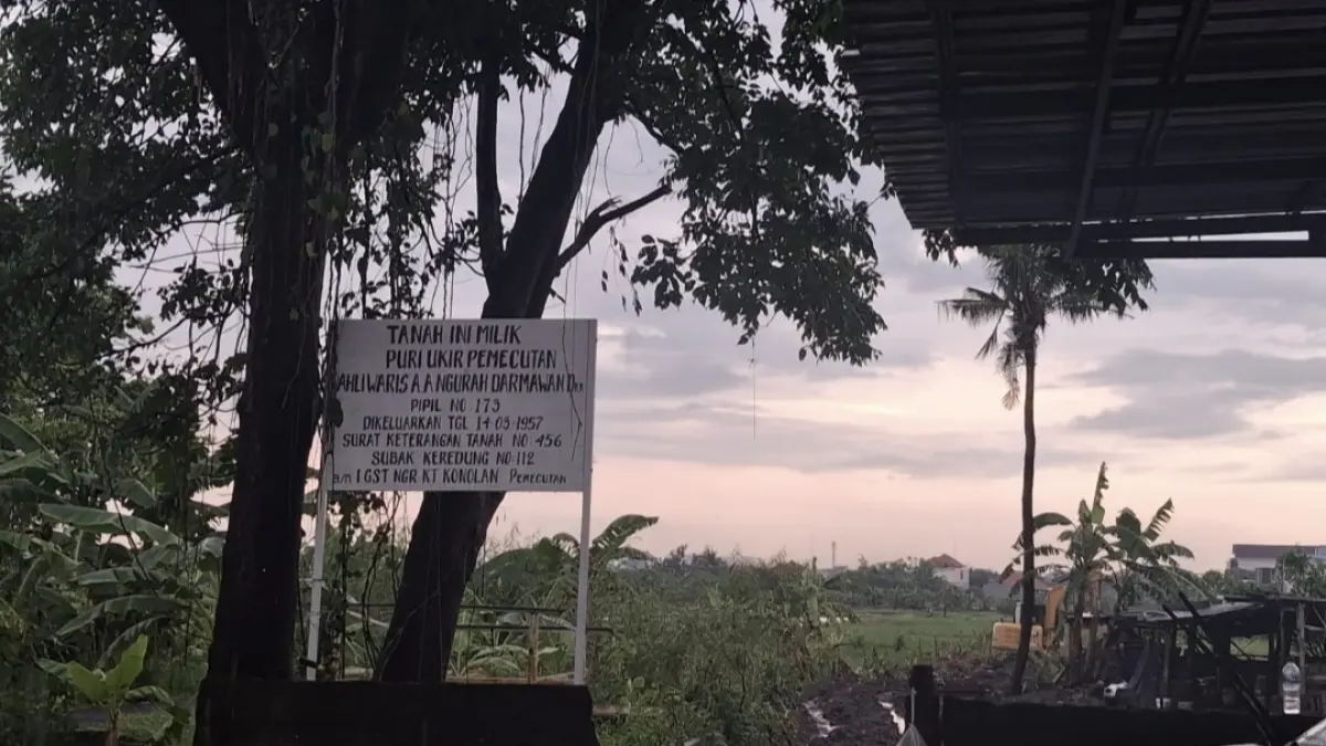 Ekskavator sedang mengolah lahan yang menjadi sengketa klaim milik Puri Kaleran Kangin, Kamis (18/12) lalu. (Istimewa)