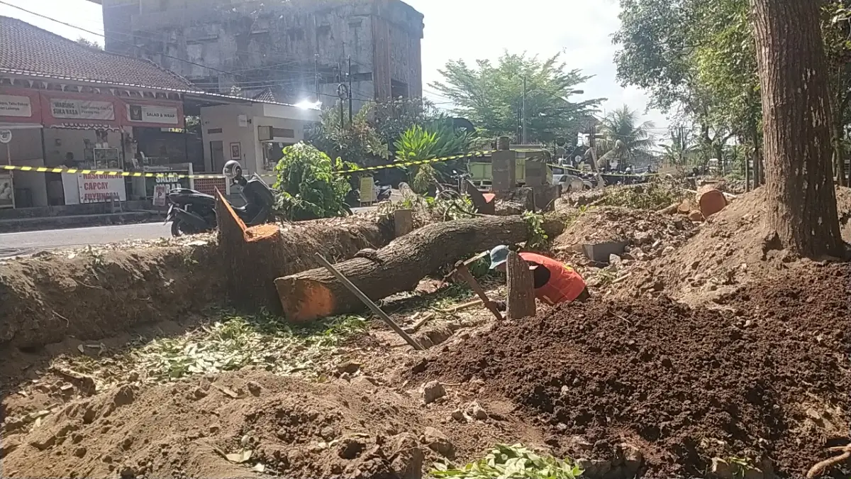 Suasana penataan dan pembangunan lapak UMKM di Lapangan Alit Saputra, Dangin Carik, Tabanan.(Foto Juliadi)

&nbsp;