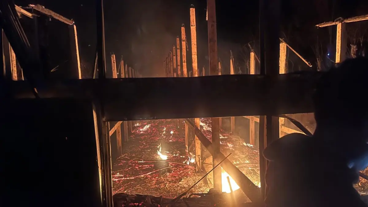 Kondisi kandang ayam yang hangus terbakar di Banjar Dinas Tibudalem, Desa Pujungan, Kecamatan Pupuan, Tabanan, Jumat (18/9) malam.(Istimewa)
