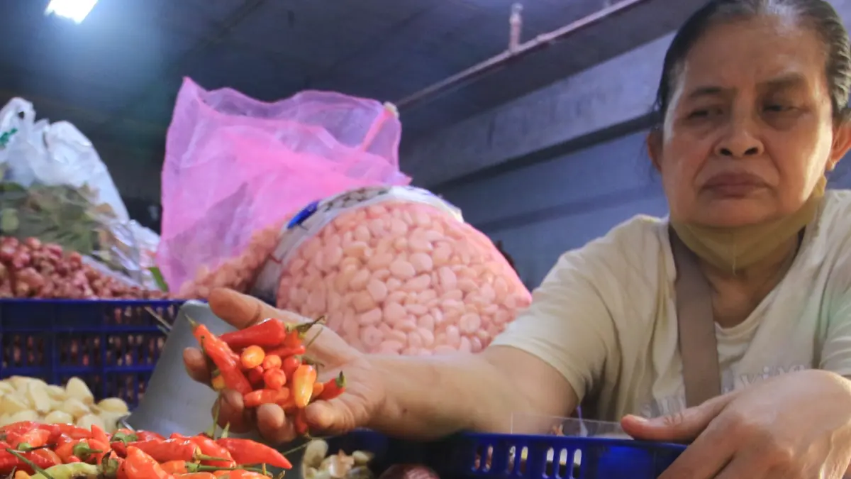 Ketimpangan harga komoditas pertanian antara tingkat konsumen dan petani terlihat nyata di Bali. Cabai rawit merah yang paling mencolok selisihnya.(Foto Miftahuddin Halim)