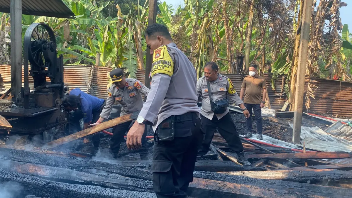 Gudang serkel atau pemotongan kayu di Wanasari, Tabanan ludes terbakar, Kamis (1/10/2026).