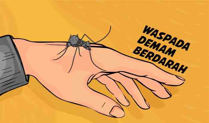 ilustrasi demam berdarah. Sudah tiga nyawa melayang di kabupaten Tabanan Bali.